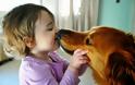 ΑΠΙΣΤΕΥΤΟ - Σας φιλάει ο σκύλος σας; Δείτε τι συμβαίνει στον οργανισμό σας...
