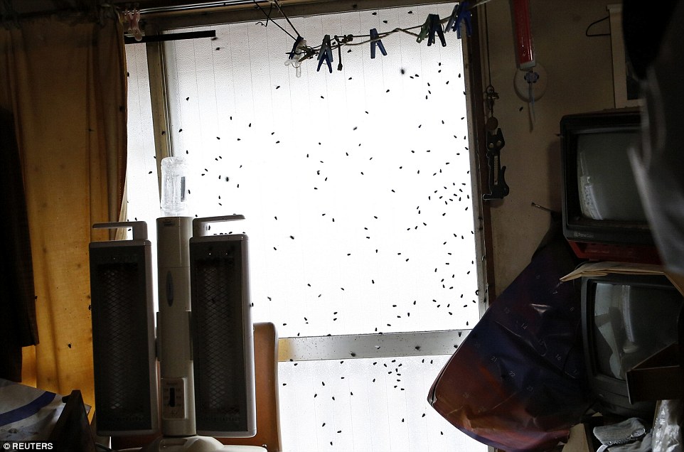 Αυτή είναι η πιο ΘΛΙΒΕΡΗ και ΔΥΣΚΟΛΗ δουλειά στον κόσμο! [photos] - Φωτογραφία 4