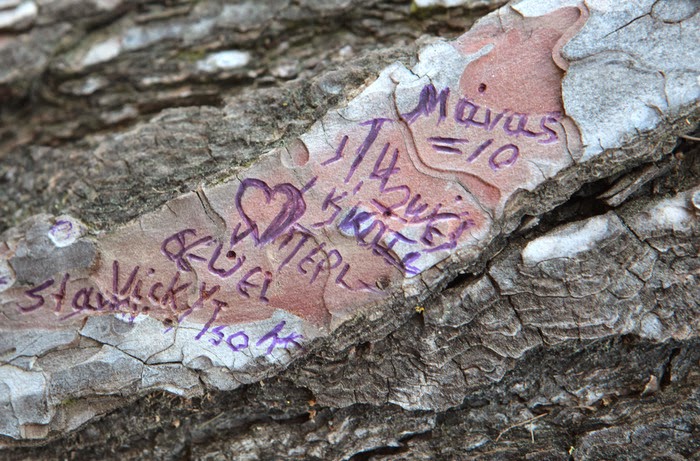 ΘΑ ΠΑΘΕΤΕ ΣΟΚ - Αυτό το μήνυμα χάραξε η Βίκυ Σταμάτη σε κορμό δέντρου στην εκκλησία όπου βρέθηκε [photo] - Φωτογραφία 2