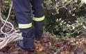 Χαλκιδική: Πυροσβέστες ανέσυραν 40χρονο που έπεσε μέσα από πηγάδι