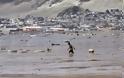 Χιλή: Τουλάχιστον 25 νεκροί από τις πλημμύρες και τις κατολισθήσεις