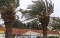 Όλα τα παίρνει ο… άνεμος στην Κρήτη – Προβλήματα σε Ηράκλειο