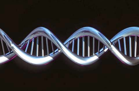 Το IMBB απέκτησε τις πιο σύγχρονες δυνατότητες ανάγνωσης DNA στην Ελλάδα - Φωτογραφία 1