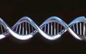 Το IMBB απέκτησε τις πιο σύγχρονες δυνατότητες ανάγνωσης DNA στην Ελλάδα