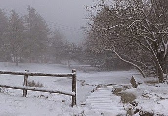 Το χιόνι έκλεισε την Πάρνηθα - Οι εικόνες μαγεύουν... [photos] - Φωτογραφία 1