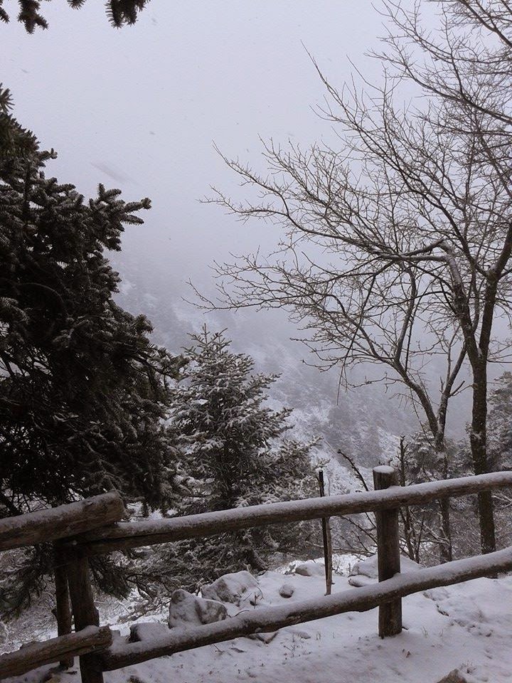 Το χιόνι έκλεισε την Πάρνηθα - Οι εικόνες μαγεύουν... [photos] - Φωτογραφία 3