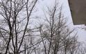 Το χιόνι έκλεισε την Πάρνηθα - Οι εικόνες μαγεύουν... [photos] - Φωτογραφία 4