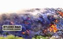 Φωτιά στην χωματερή Μπομπέικα στη Νέα Κίο - Φωτογραφία 3