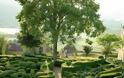Θαυμαστοί κήποι στη Γαλλία - Φωτογραφία 4
