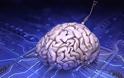 IBM: Δοκιμάζει software που μιμείται τον ανθρώπινο εγκέφαλο