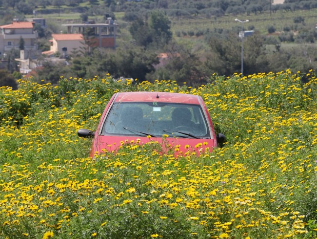 Καλώς ήρθες Άνοιξη: Όταν η φύση «πνίγει» την τεχνολογία - Φωτογραφία 2