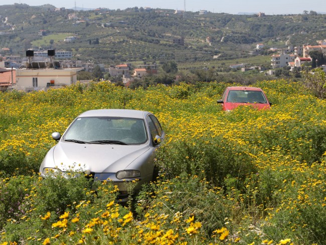 Καλώς ήρθες Άνοιξη: Όταν η φύση «πνίγει» την τεχνολογία - Φωτογραφία 4