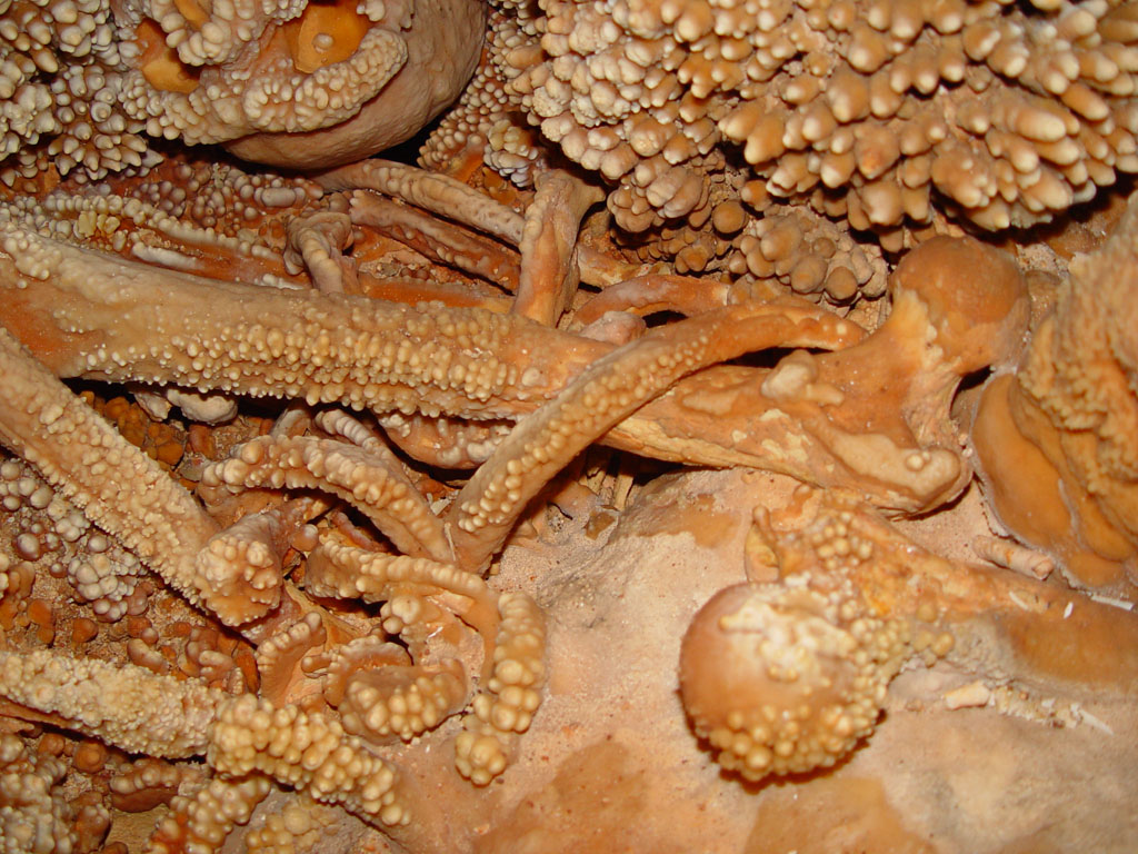 Ο αρχαιότερος ανθρώπινος σκελετός - Πού βρέθηκε; [photos] - Φωτογραφία 2