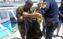 Νεκρό μωρό δελφίνι εντοπίστηκε στο λιμάνι στην Πρέβεζα [photos] - Φωτογραφία 2