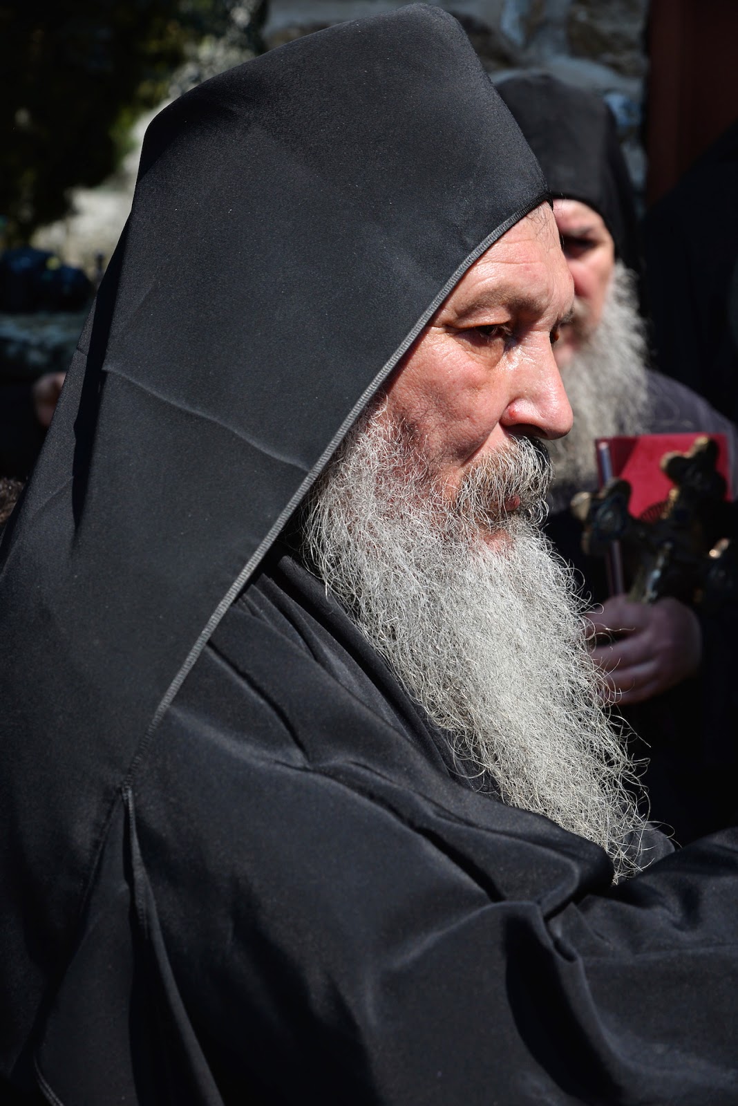 6336 - Φωτογραφίες από την Λιτάνευση της Εφέστιας Εικόνας του Αγίου Όρους, της Παναγίας Άξιόν Εστι, τη Δευτέρα του Πάσχα (2015) στις Καρυές - Φωτογραφία 24