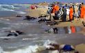 Πλοιάριο με 700 μετανάστες ναυάγησε ανοιχτά της Λιβύης - Φόβοι για εκατοντάδες νεκρούς