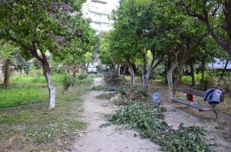 Πάτρα: Ο Δήμος καθάρισε τον κήπο του Σκαγιοπουλείου - Δείτε φωτο - Φωτογραφία 4