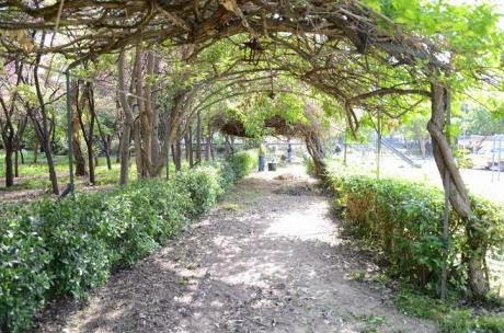 Πάτρα: Ο Δήμος καθάρισε τον κήπο του Σκαγιοπουλείου - Δείτε φωτο - Φωτογραφία 6