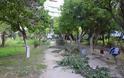 Πάτρα: Ο Δήμος καθάρισε τον κήπο του Σκαγιοπουλείου - Δείτε φωτο - Φωτογραφία 4