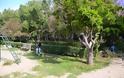 Πάτρα: Ο Δήμος καθάρισε τον κήπο του Σκαγιοπουλείου - Δείτε φωτο - Φωτογραφία 7