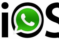 WhatsApp Messenger: AppStore update v2.12.1