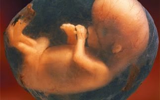 Τροποποίησαν γενετικά ανθρώπινα έμβρυα - Φωτογραφία 1