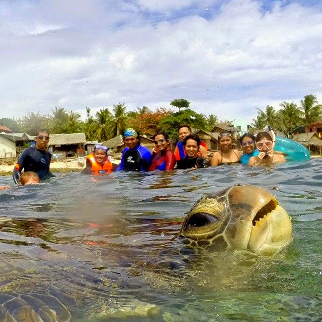 Το… photobomb της θαλάσσιας χελώνας - Φωτογραφία 2