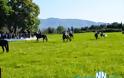 Μεσολόγγι: Αναβίωσαν και φέτος οι ιπποδρομίες στον Αη Γιώργη - Δείτε fvto - Φωτογραφία 4