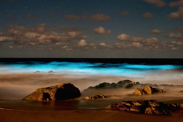 Η θάλασσα «φωσφορίζει» στην Ουρουγουάη! - Φωτογραφία 1