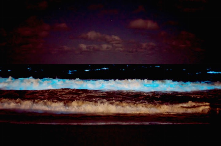 Η θάλασσα «φωσφορίζει» στην Ουρουγουάη! - Φωτογραφία 2