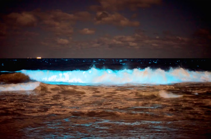 Η θάλασσα «φωσφορίζει» στην Ουρουγουάη! - Φωτογραφία 3