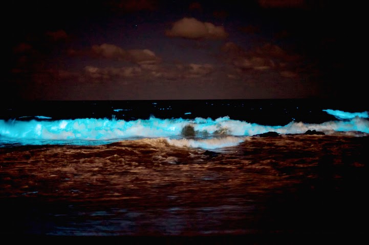 Η θάλασσα «φωσφορίζει» στην Ουρουγουάη! - Φωτογραφία 4