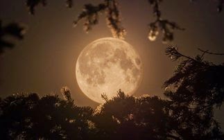 Με θέα το φεγγάρι - Φωτογραφία 1