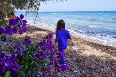 Πάτρα: Kαθάρισαν παραλίες σε Τσουκαλέικα και Καμίνια - Φωτογραφία 5