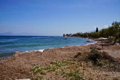 Πάτρα: Kαθάρισαν παραλίες σε Τσουκαλέικα και Καμίνια - Φωτογραφία 7