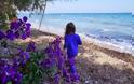 Πάτρα: Kαθάρισαν παραλίες σε Τσουκαλέικα και Καμίνια - Φωτογραφία 5