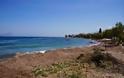 Πάτρα: Kαθάρισαν παραλίες σε Τσουκαλέικα και Καμίνια - Φωτογραφία 7