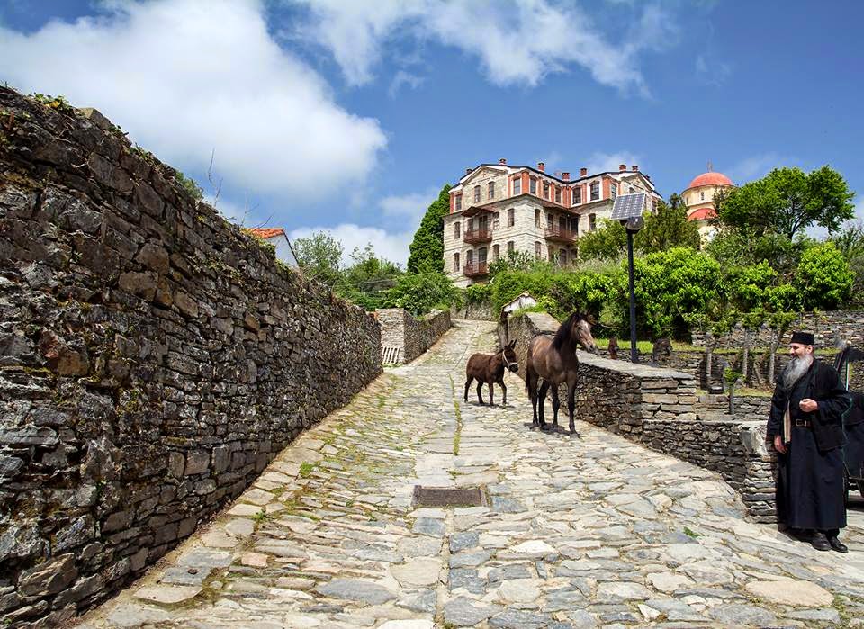 6379 – Άνοιξη στο Άγιο Όρος με τον φακό του Βασίλη Μαρκόπουλου - Φωτογραφία 23