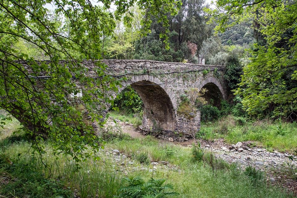 6379 – Άνοιξη στο Άγιο Όρος με τον φακό του Βασίλη Μαρκόπουλου - Φωτογραφία 6