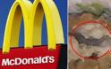 ΜΕΓΑ ΣΚΑΝΔΑΛΟ: Δεν φαντάζεσαι τι βρήκε μέσα στο burger της από τα McDonalds! [photos] - Φωτογραφία 4