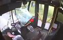 Απίστευτο ατύχημα...Λεωφορείο χτύπησε ελάφι με πολύ απρόσμενη κατάληξη (Video)