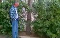 Αγρίνιο:  Κατέστρεψαν δέντρα και αφαίρεσαν φυτά από την πλατεία Ειρήνης
