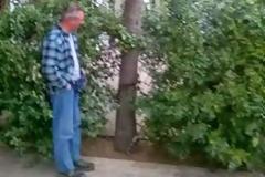 Αγρίνιο:  Κατέστρεψαν δέντρα και αφαίρεσαν φυτά από την πλατεία Ειρήνης