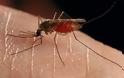 Ξεκινούν έγκαιρα οι ψεκασμοί για τα κουνούπια στο Αγρίνιο