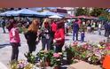 Δήμος Ιστιαίας-Αιδηψού: Δέκα φορές γιόρτασε την Πρωτομαγιά η Δήμαρχος - Φωτογραφία 1