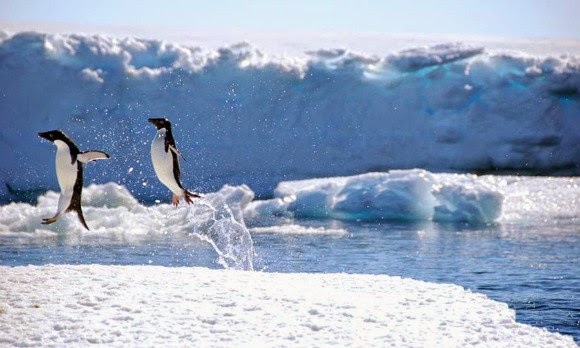 Μια βόλτα με drone στην Ανταρκτική! - Φωτογραφία 1