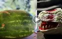 Καλλιτέχνης μετέτρεψε καρπούζι σε κεφάλι δράκου [video]