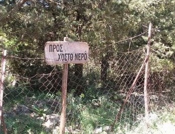 Κτηνωδία: Έδεσαν άλογα από τα πόδια και τα άφησαν να πεθάνουν από την ασιτία! - Φωτογραφία 1