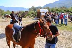 Πλούσιο θέαμα πρόσφεραν οι αναβάτες στις Ιπποδρομίες στο Ευηνοχώρι [video]