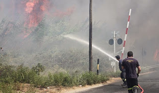 Στο «κόκκινο» για τις πυρκαγιές η Ηλεία - Φωτογραφία 1